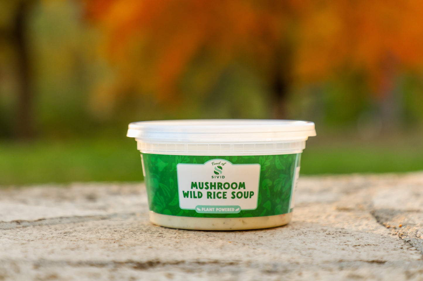 Mushroom Wild Rice Soup